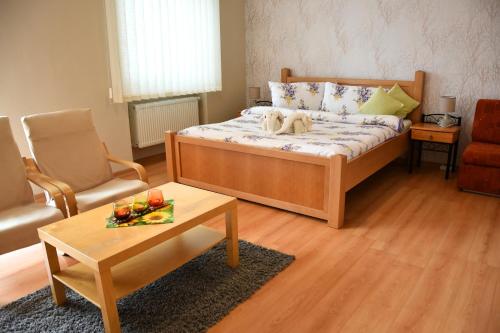 Hotel Baník Handlová客房内的一张或多张床位