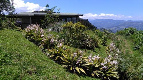 图里亚尔瓦Finca Y Granja Loma Bonita的山边的花房