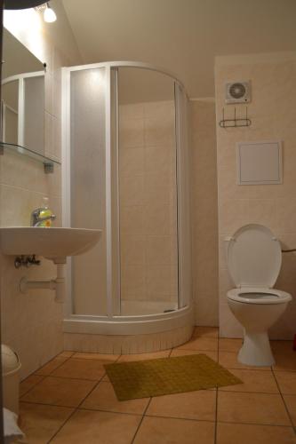 小莫拉夫卡Orbit Karlov pod Pradědem的带淋浴、卫生间和盥洗盆的浴室