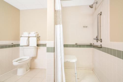 巴克斯特Baymont by Wyndham Baxter/Brainerd Area的一间带卫生间和淋浴的浴室