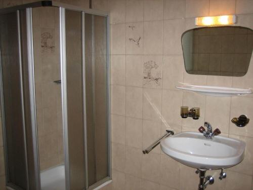 因斯布鲁克福内尔公寓的一间带水槽和淋浴的浴室