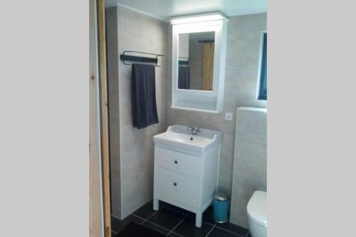 迪弗尔Vakantiehuisje met bedstee的浴室设有白色水槽和镜子