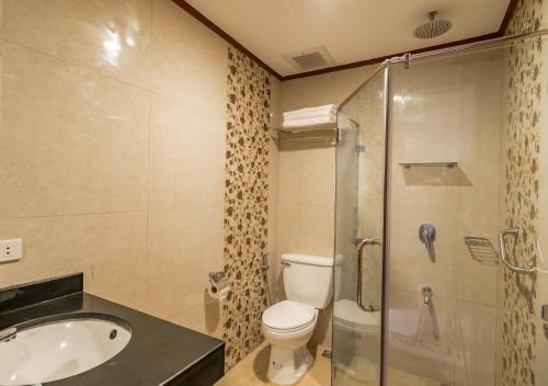 爱妮岛卡洛儿克里夫酒店的一间带水槽、卫生间和淋浴的浴室