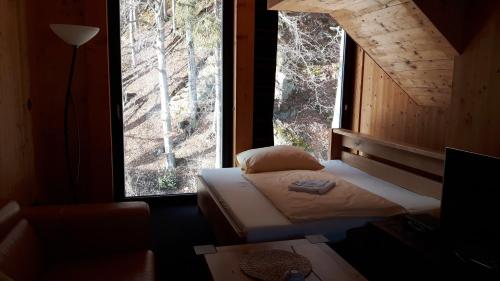 什平德莱鲁夫姆林克拉克诺索瓦迪尔纳“木屋”酒店的一间卧室设有一张床和一个大窗户