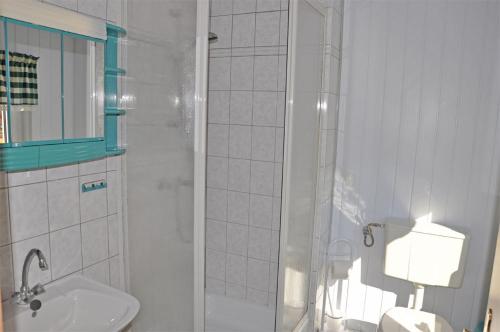 施托尔佩奥夫乌塞多姆Ferienhaus Stolpe USE 2481的带淋浴、盥洗盆和卫生间的浴室