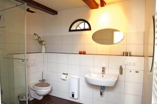 奔驰Ferienhaus Benz USE 081的一间带水槽、卫生间和镜子的浴室
