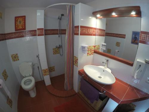 萨利波图尔Le Dakan的浴室配有卫生间、盥洗盆和淋浴。