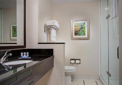 坎顿底特律坎顿万豪费尔菲尔德客栈的浴室配有卫生间、盥洗盆和淋浴。