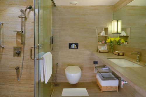 艾哈迈达巴德Fortune Landmark, Ahmedabad - Member ITC's Hotel Group的带淋浴、卫生间和盥洗盆的浴室