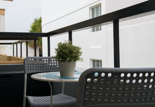 马塔拉斯卡尼亚斯Apartamento Los Naranjos的坐在阳台上桌子上的盆栽植物