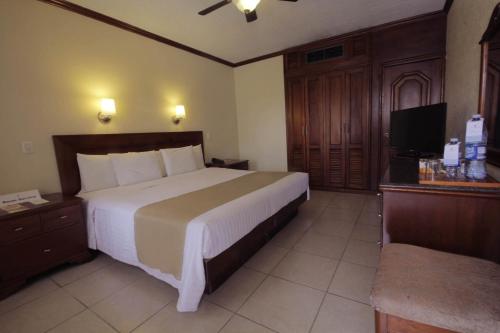 坦皮科圣安东尼奥酒店的酒店客房设有一张大床和一台电视。