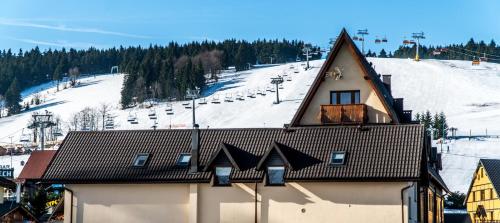 齐莱涅克Ski&Spa Zieleniec的一座带滑雪场屋顶的建筑