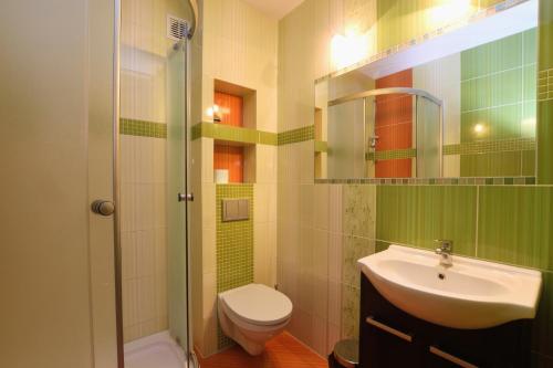 尤斯托尼莫斯基Willa Venus的一间带水槽、卫生间和淋浴的浴室