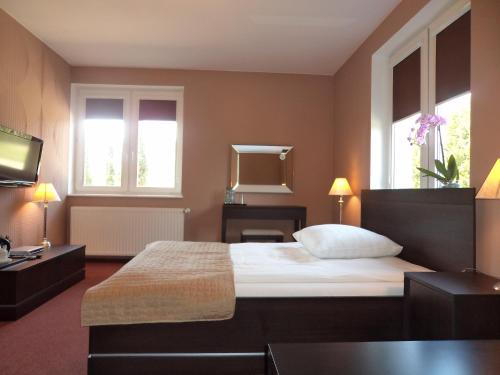 什切齐内克西亚登斯维尔科住宿加早餐旅馆的卧室配有床、镜子和窗户。