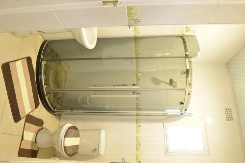 利文斯顿阿散蒂公寓的带卫生间的浴室内的玻璃窗