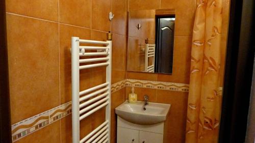 舒加塔格盐矿镇Pensiunea Magnolia的一间带水槽和镜子的浴室