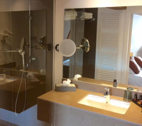 布鲁日特尔杜恩酒店的一间带水槽、淋浴和镜子的浴室