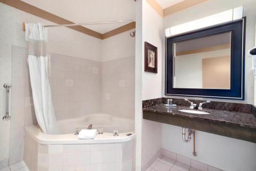 苏圣玛丽戴斯套房酒店 的一间浴室