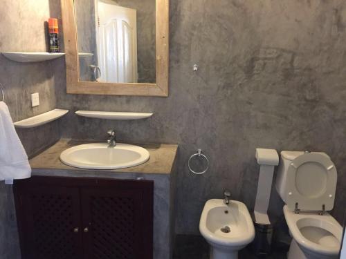 马林迪Wildebeest 2 Bedroom Apartment的一间带水槽、卫生间和镜子的浴室