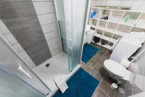 什科菲亚洛卡伯格莱姿公寓的带淋浴、卫生间和盥洗盆的浴室