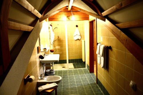 安达洛达尔波酒店的一间带水槽和淋浴的小浴室