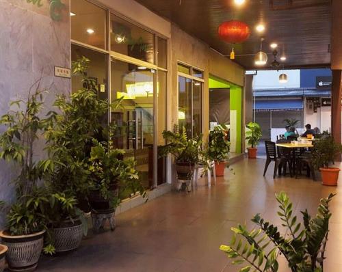 古晋城市旅馆的一间种有盆栽植物的餐厅和一张桌子