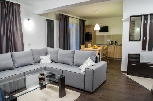 切霍齐内克Apartamenty Maria的客厅配有灰色的沙发和桌子