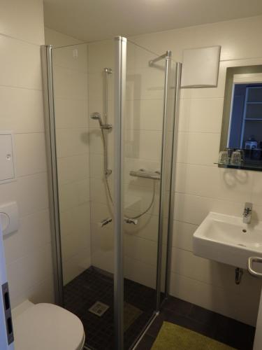 瑙恩Garni Hotel Lavendelhof的带淋浴、卫生间和盥洗盆的浴室
