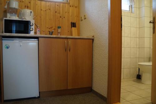 亚希莫夫Restaurant Pension-Anton的小厨房配有冰箱和微波炉。