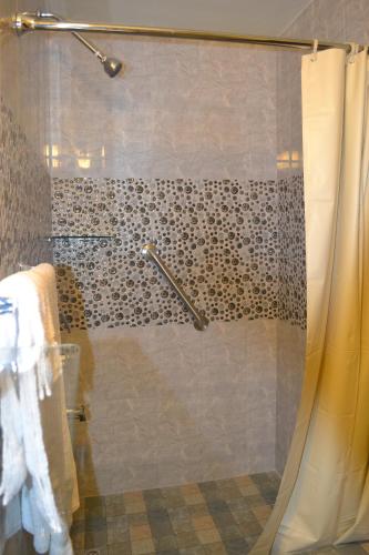 PiarcoMontecristo Inn的带淋浴和浴帘的浴室