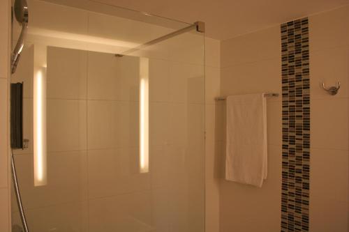 于伊天狼星酒店的带淋浴的浴室和玻璃门