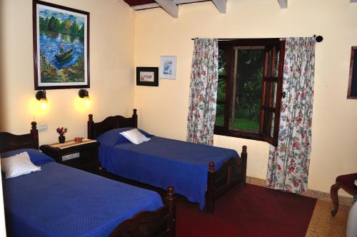 ChicoanaFinca Cielo Verde的一间卧室设有两张床和窗户。