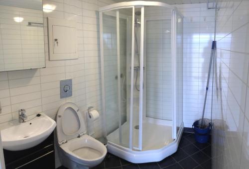 Løding阿克提科海港酒店的带淋浴、卫生间和盥洗盆的浴室