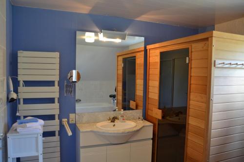 旧蒂尔瑙特伟帕霍夫住宿加早餐旅馆的一间带水槽和蓝色墙壁的浴室