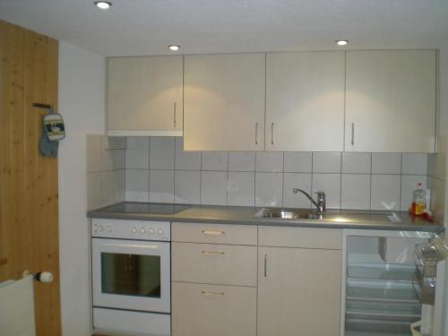 Urnäsch桑蒂斯布里克公寓的厨房配有白色橱柜和水槽