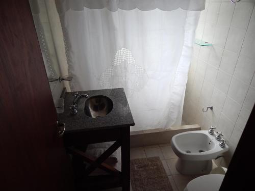 格塞尔镇Villa Olimpia Cabañas的一间带水槽和卫生间的浴室