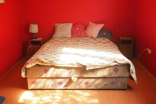 霍尔托巴吉Privatzimmer Csikos的一间卧室设有一张带红色墙壁的大床