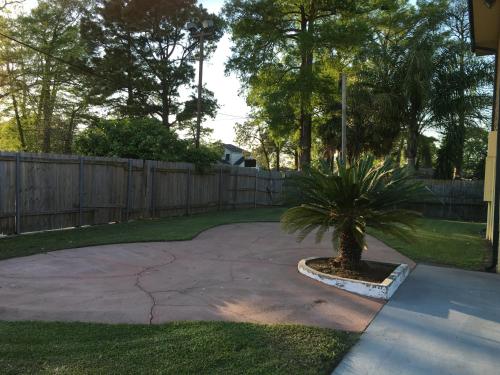 新奥尔良新奥尔良酒店的后院的盆子上棕榈树