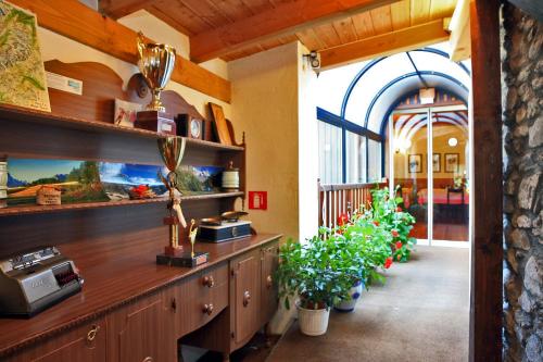 普雷圣迪迪埃土拨鼠旅馆的大楼里带柜台和植物的房间
