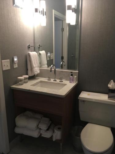 伊代纳Erik's Retreat的一间带水槽、卫生间和镜子的浴室