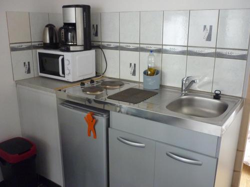 阿姆博斯格温多林公寓 的一间带水槽和微波炉的小厨房