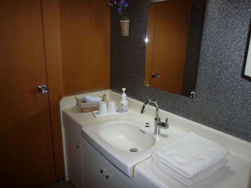 山之内町汤田中俵屋日式旅馆的一间带水槽和镜子的浴室