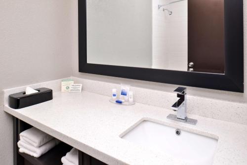 罗斯芒特贝斯特韦斯特奥黑尔酒店的一间带水槽和镜子的浴室