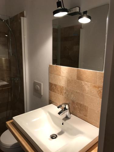 上维谢乌Anahouse的一间带水槽、淋浴和镜子的浴室
