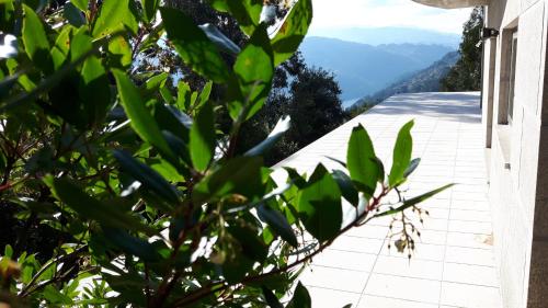拜昂Casa Douro Terrace的以及山景阳台。