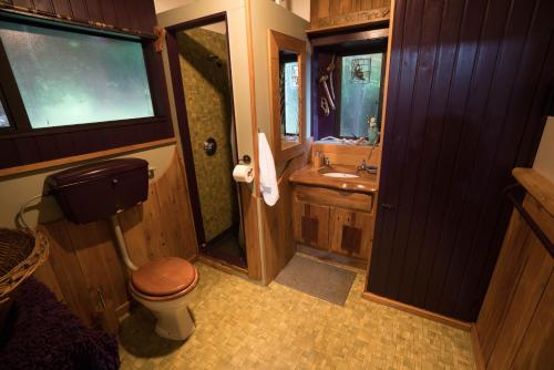 巴里敦森林边缘度假屋的一间带卫生间和水槽的浴室