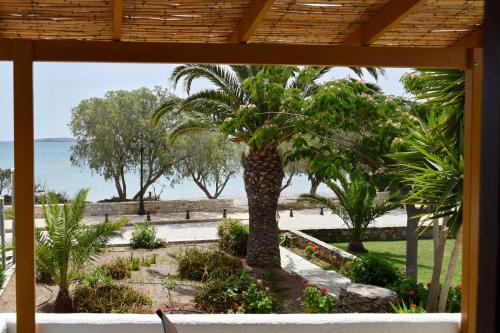 古卡斯特隆Grandes Apartments sea front的从棕榈树度假村的门廊上可欣赏到海滩景色