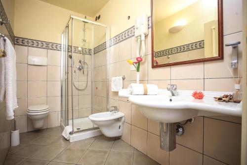 博萨科尔特费欧利塔艾尔伯格迪富索酒店的一间带水槽、淋浴和卫生间的浴室