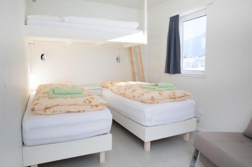阿克雷里巴艾吉萨旅馆的一间带两张双层床和一张沙发的卧室