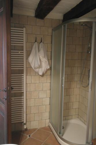 CadèAgriturismo Corte dei Landi的带淋浴和2条白色毛巾的浴室